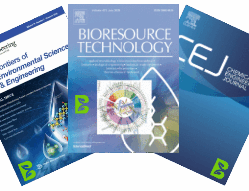 Creating Impact: BIOMETHAVERSE’s Scientific Journey in Spreading Innovation in Biomethane Production